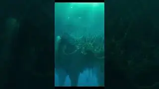Ram Setu movie best scene //#ramsetu #film #movie #bestscenes #moviereview