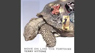 Move On Like the Tortoise
