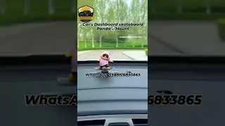 Universal Car's Dashboard skateboard Panda 🐼 Mount #trending#viral#carpart#cartoon#panda#skating#tha
