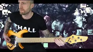 Vildhjarta // Mist F&ouml;rst&aring;ndet // Bass cover