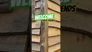Live edge chainsaw milled siding  #chainsawmilling  #diy