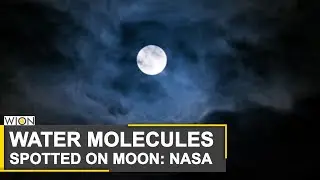 NASA reveals discovery of water molecules on moon | Molecules find within Clavius Crater |World News