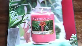 Yankee Candle 2021 &mdash; первые мысли о лёгком запахе! 13 новых ароматов, включая коллекцию The Last Paradise