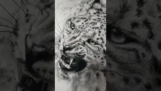Charcoal drawing of a leopard #shorts #leopard #wildlife #panthera