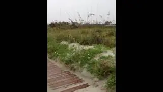 Briarcliffe Acres Beach Patrol Surf Report