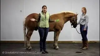 Posture Prepping Scan: Preparation is the Foundation for Success! Cross Fiber Quickie.