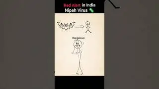 Nipah Virus 🦠se red alert ⚠️😱. #facts #shorts #foryou #nipahvirus