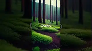 Adventure in the Congo: A Jungle Odyssey ।। Shorts ।। #facts #knowledgeispower #shortsviral