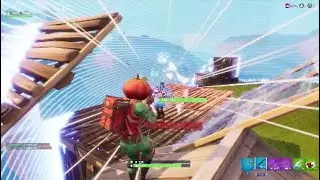 Fortnite Solo Win*