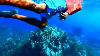 Snorkeling at Secrets Resort in Montego Bay, Jamaica @Ocean World