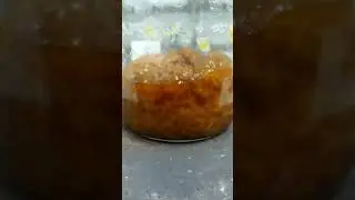 lignocellulose