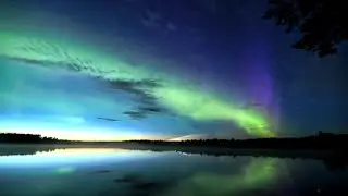 You Will Feel Better After this #stressrelief #popularsong #popularvideo