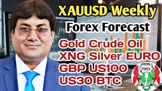 xauusd weekly analysis today hindi 17-21 Nov 2025 | gold prediction nextweek oil forex forecast news