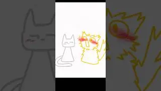 Derpy cats ❤️😊 || YIPPEEE