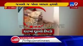 Tv9 Exclusive; Leopard entered residential house in Kutch, residents captured incident on camera