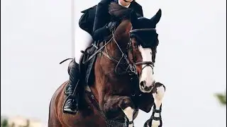 Savage Love II Equine Music Video