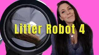 Litter Robot 4 Review with Bengal Kittens
