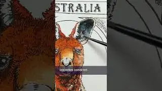 30 Days of Drawing the Nations Animals From Around the World Day 10 Australia