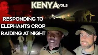 Elephants & People Collide at NIGHT. A rare POV view..
