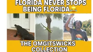 Florida Never Stops Being Florida 😂🌴 The Omgitswicks Collection