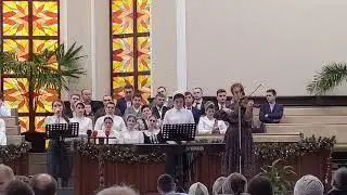 соло 