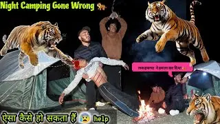 Tiger ने Camping पर सामने से attack कर दिया 😰| जान बचाना मुश्किल camping मै | लकड़बग्घों ने घेर लिया