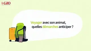 I-CAD / Voyager avec son animal, quelles d&eacute;marches anticiper ?
