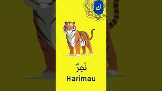 Mufradat Letter Nun (ن) #arabic #hijaiyah #beginner