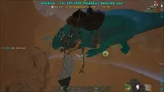 When DDH Meets Bloodstalker | H4DES Small Tribes