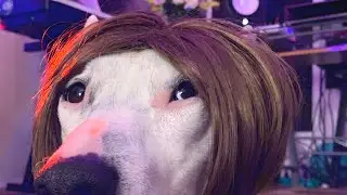 ЖУЙТЕ С ЗАКРЫТЫМ РТОМ