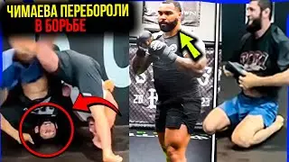 Хамзат Чимаев был раздавлен олимпийским борцом: Гейбл Стивсон шокировал Дэйну Уайта — буря реакций!