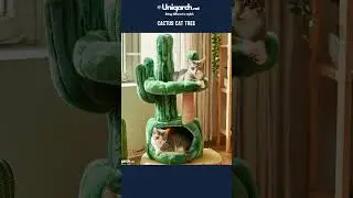 Cactus Cat Tree #inspiration #automobile #autounique #unique #home #uniquecars #viralvideo #art