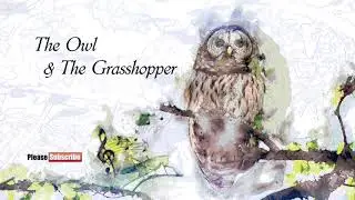 Amazing Aesop's Fables - The Owl & The Grasshopper - Short Story