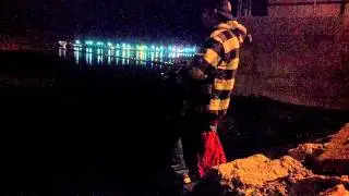 Fishing under Coronado  bridge