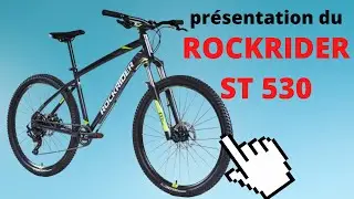 Présentation du ROCKRIDER ST 530