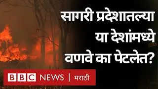 Greece and Turkey wildfires : भूमध्य सागरी प्रदेशातल्या या दोन देशात वणवे का पेटले?