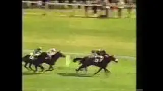 1981 St. Leger Stakes