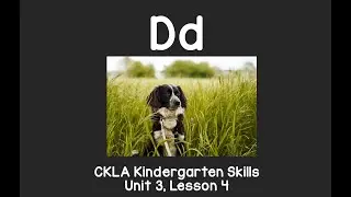 Letter D sound: CKLA Kindergarten Reading Skills Unit 3 Lesson 4