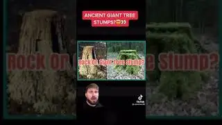 Preflood Earth: trees!