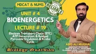 Lecture 19 MDCAT 2022 Biology Preparation Series (Bioenergetics Part-6) PMC/NUMS | Urdu/Hindi | NEET