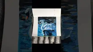 Swan art process #art #drawing #artprocess #swan