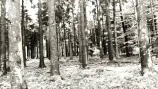 THE BEAUTY OF GEMINA - NARCOTICA / ACOUSTIC VERSION (DREAMSCAPES - OFFICIAL CLIP)