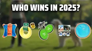 The Top 5 Best Dog Saucer Ball in 2025 - Must Watch Before Buying!