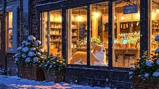 The Last Snowy Night ❄ Lofi Corgi Music ❄ Dreamy Lofi Songs To Make You Feel Warm And Sleep Well