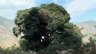 Tamor Corridor हुँदै Phidim यात्रा | Eastern Nepal Scenic Road Trip | Adventure