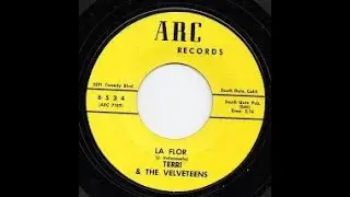 Terri & The Velveteens - La Flor