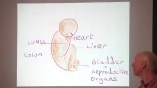 Feng Shui, Chinese Medicine and Holistic health - Simon Brown