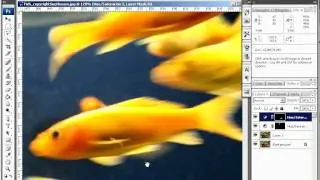 05 01 adjustment layer final