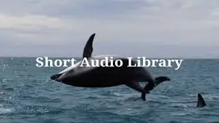 #Warrior #NCS #Music Warrior Short Ringtone music @NCSMusic .....