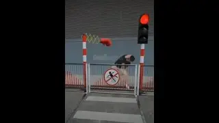 Pedestrian Crossing Respect the Rules | Shorts | Funny Video